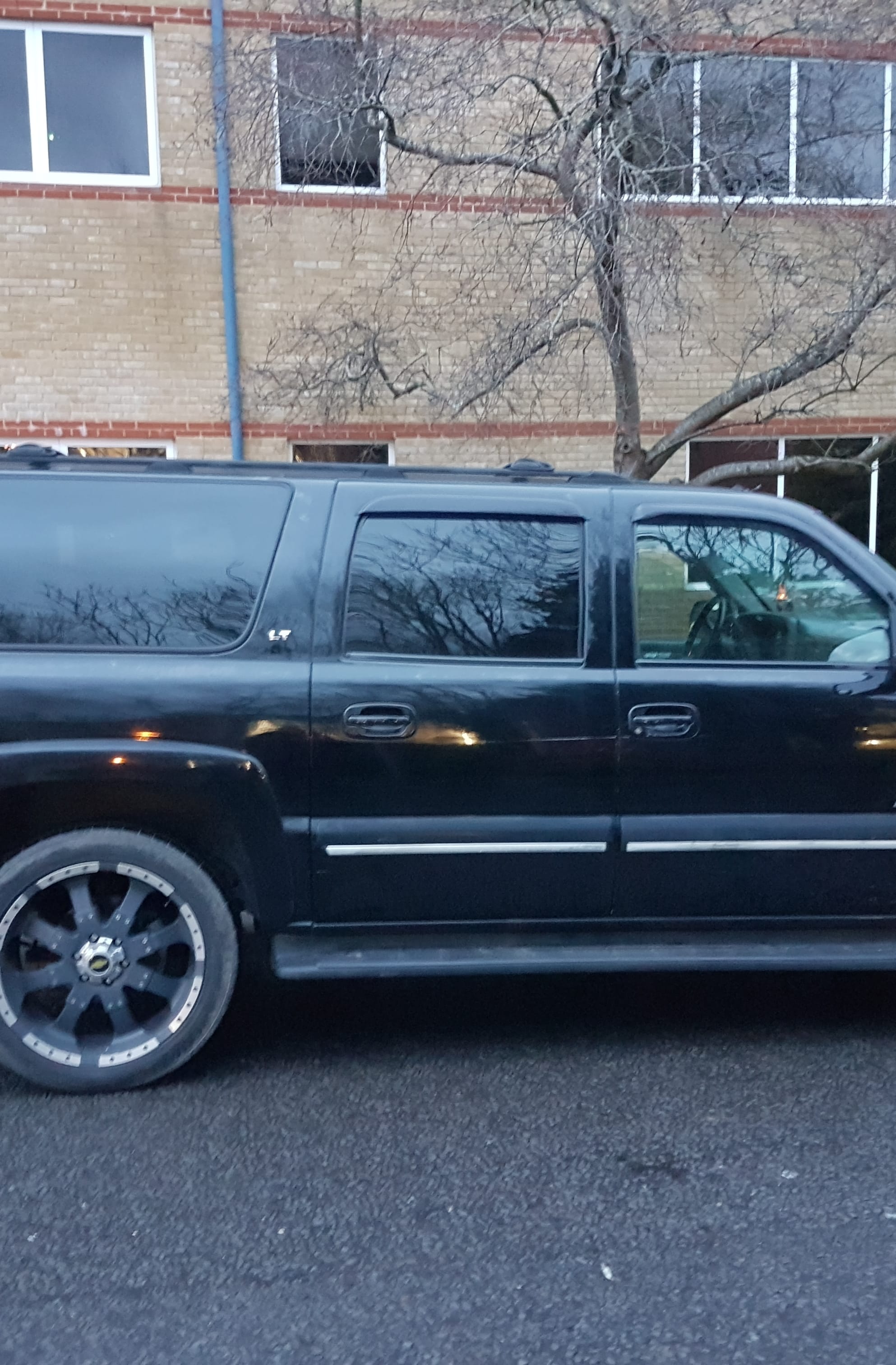 Graan Lark - Profile Photo