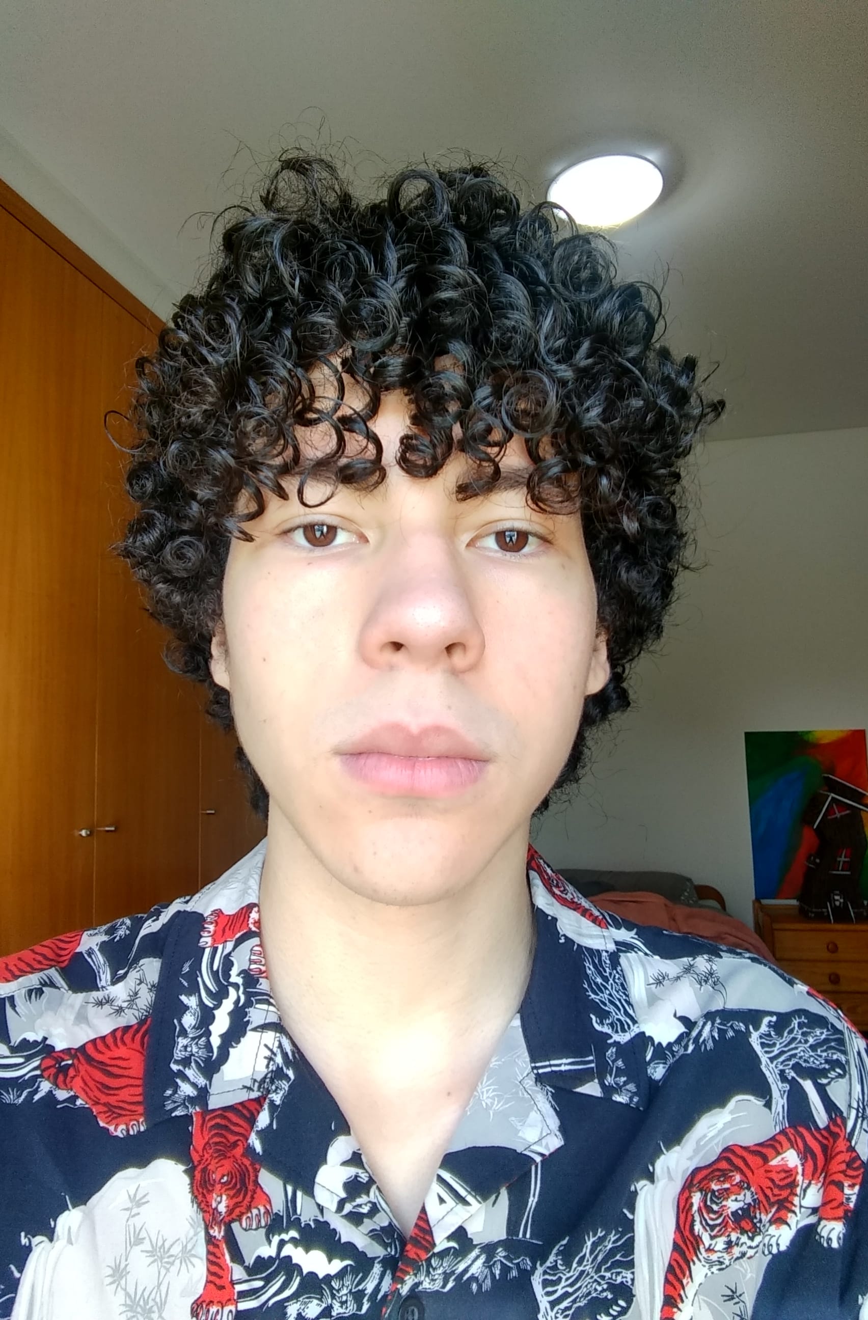Adriel Rocha - Project Casting Adriel Rocha - Profile Photo