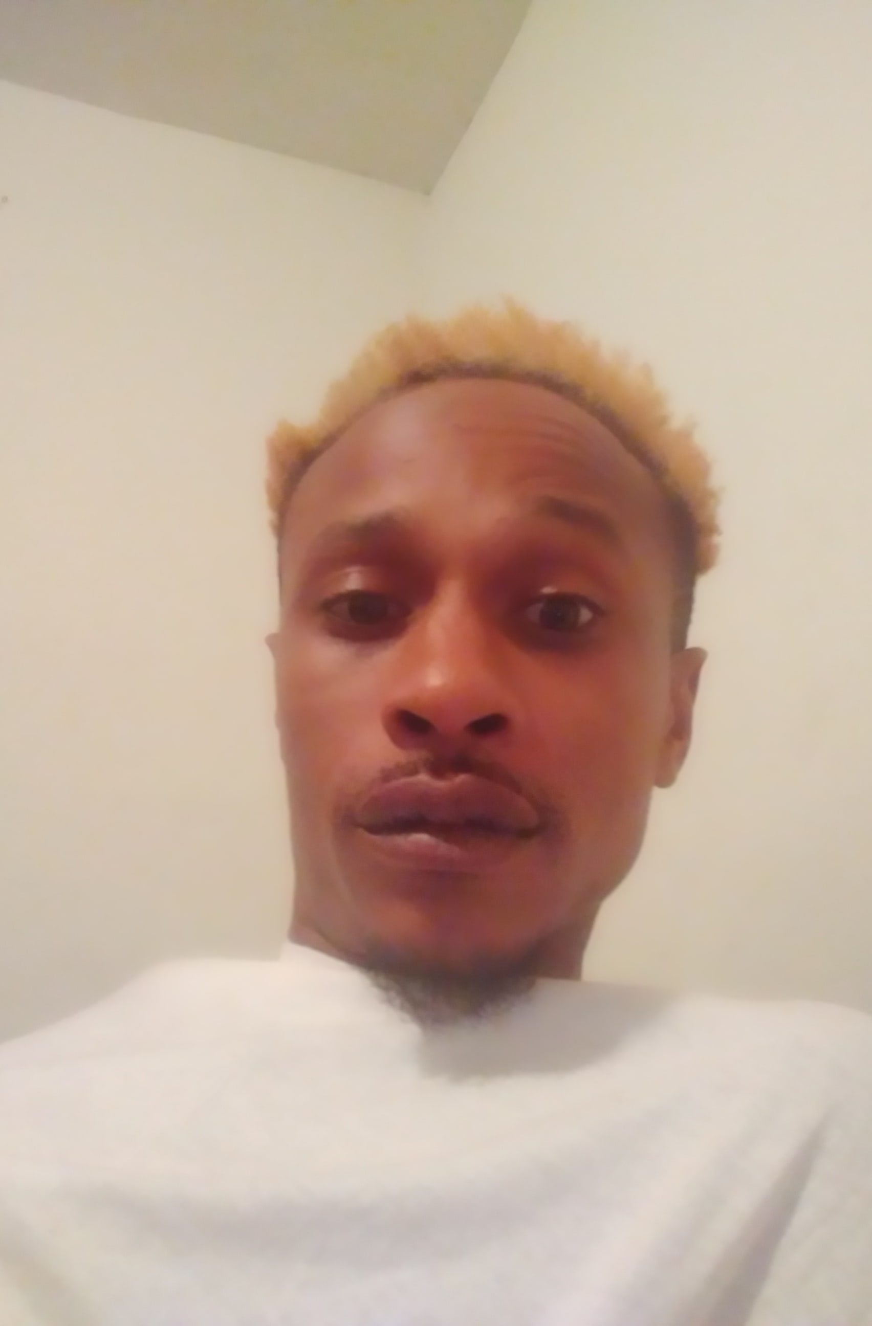 Brent Bible - Profile Photo