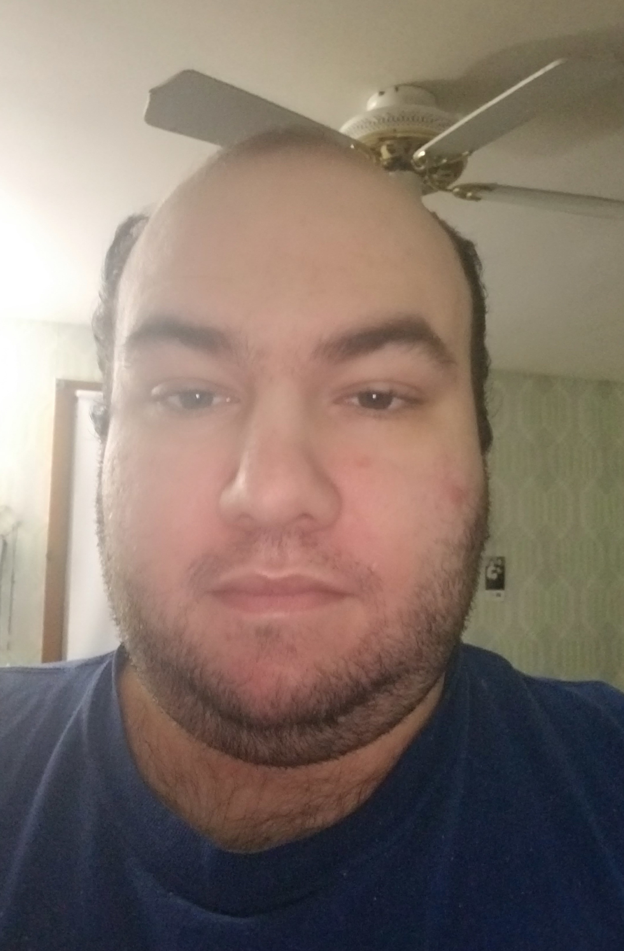Joseph D’Amico - Profile Photo