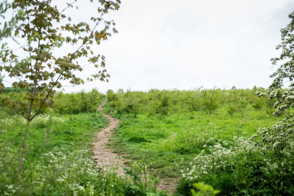 Eynsham Smart and Fair Futures Project LEO