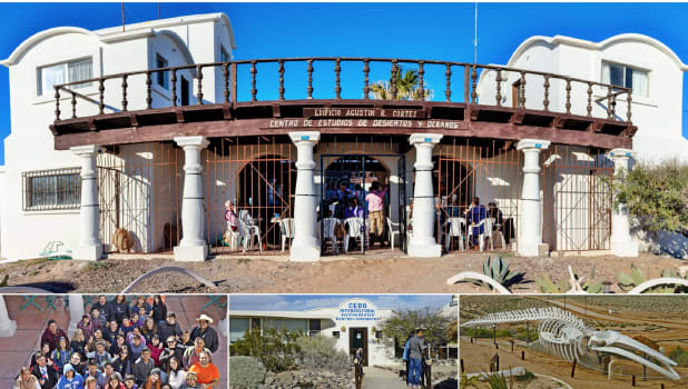 Intercultural Center For The Study of Deserts and Oceans