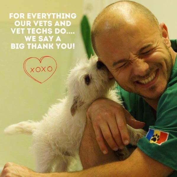 ROMANIA ANIMAL RESCUE INC DBA ANIMAL SPAY NEUTER INTL cover