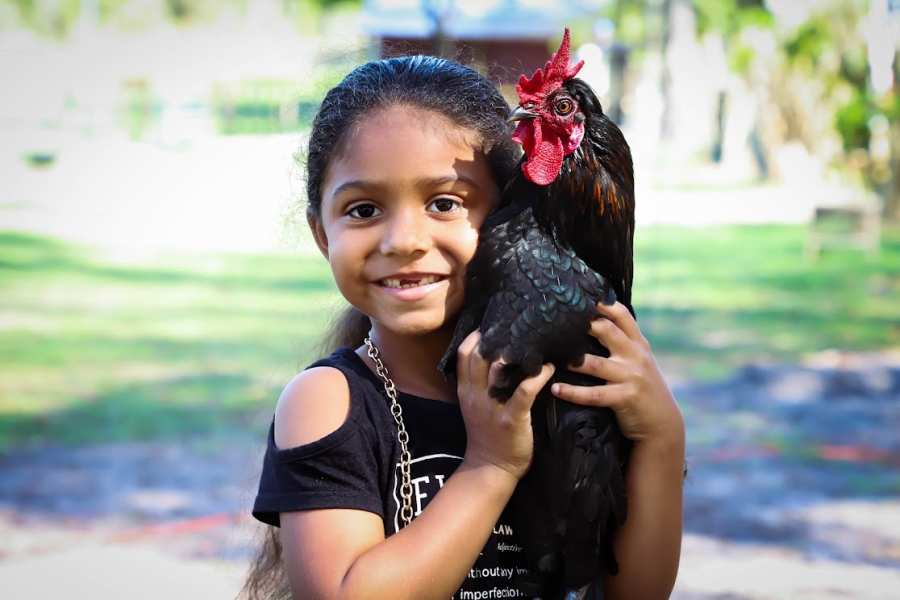 Rooterville Animal Sanctuary