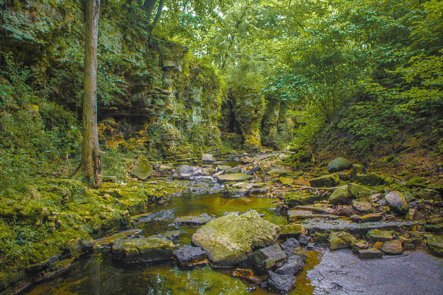 Friends Of The Forest Preserves