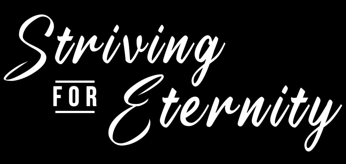 STRIVING FOR ETERNITY A NJ NONPROFIT CORPORATION