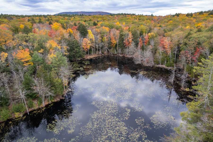 BEAR-PAW REGIONAL GREENWAYS