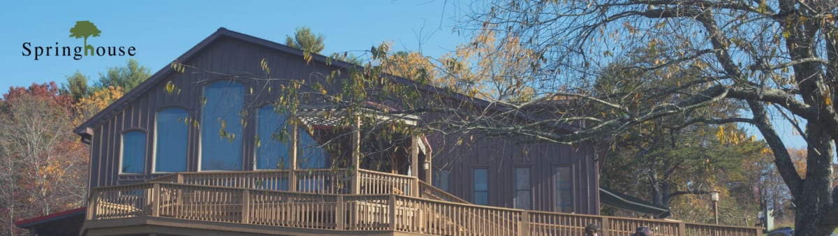 Springhouse Community School cover