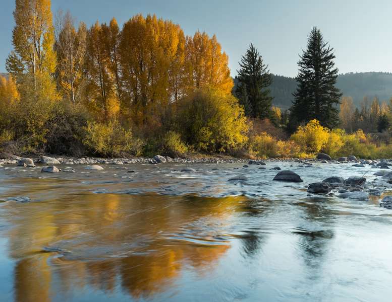 Eagle River Coalition