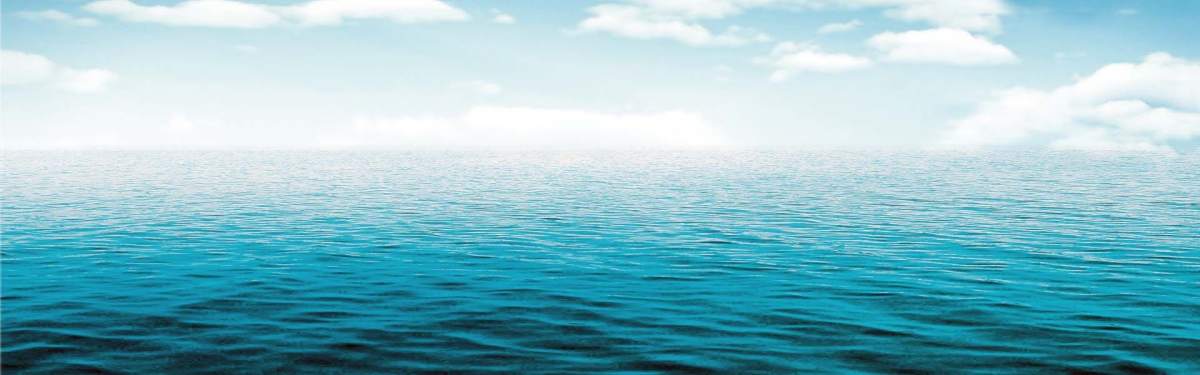 Ocean Cleanup Project cover