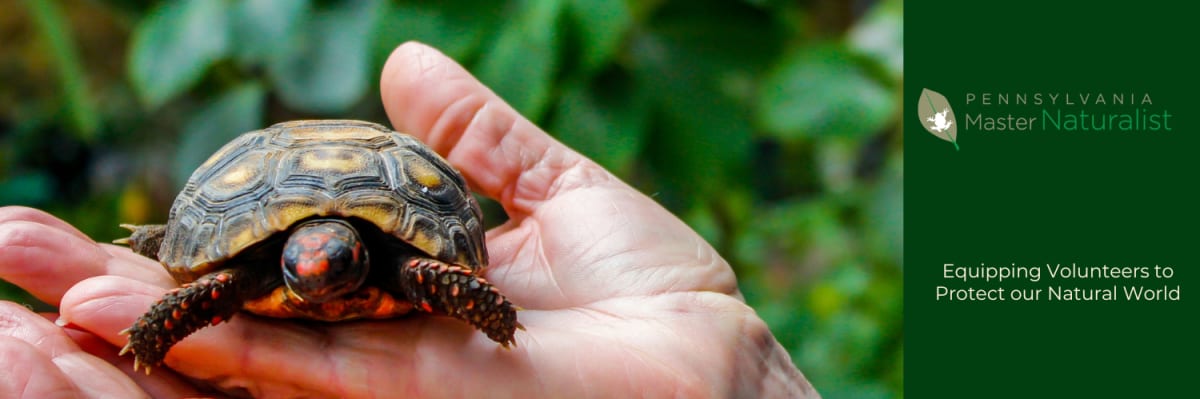 Pennsylvania Master Naturalist