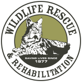 WILDLIFE RESCUE AND REHABILITATION INC.