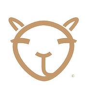 The Camel Project