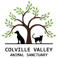 Colville Valley Animal Sanctuary