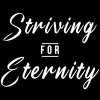 STRIVING FOR ETERNITY A NJ NONPROFIT CORPORATION