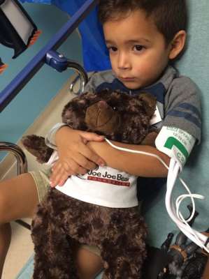 Photo 7 from Joe Joe Bear Foundation