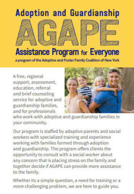 Photo 4 from Adoptive and Foster Family Coalition of New York