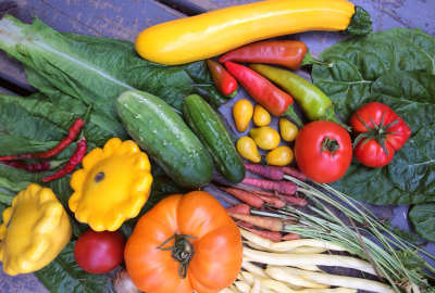 Photo 7 from FARMER FOODSHARE INC