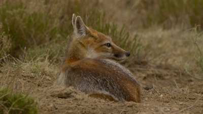 Photo 12 from SOUTHERN PLAINS LAND TRUST