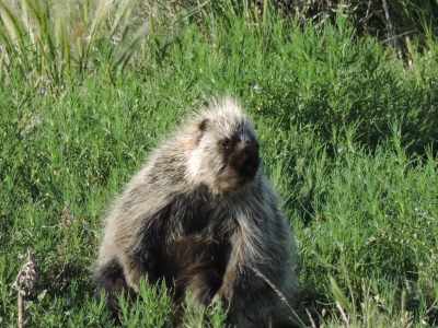 Photo 16 from SOUTHERN PLAINS LAND TRUST