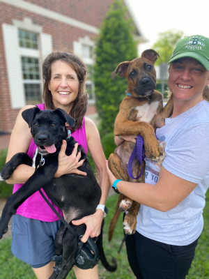 Photo 3 from Three Little Pitties Rescue