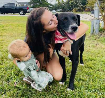 Photo 4 from Three Little Pitties Rescue