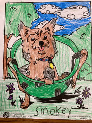 Photo 4 from National Service Animals Monument Corporation