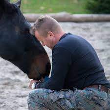 Photo 7 from National Service Animals Monument Corporation