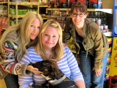 Photo 10 from The Kris Kelly Foundation