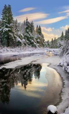 Photo 11 from TRUCKEE RIVER WATERSHED COUNCIL