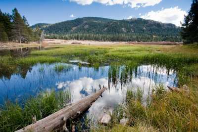 Photo 14 from TRUCKEE RIVER WATERSHED COUNCIL