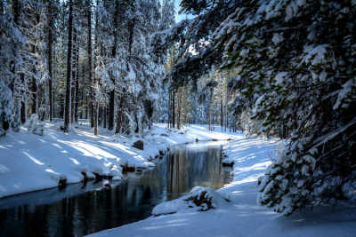 Photo 4 from TRUCKEE RIVER WATERSHED COUNCIL