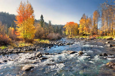 Photo 9 from TRUCKEE RIVER WATERSHED COUNCIL