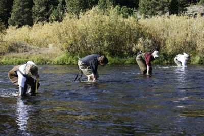 Photo 7 from TRUCKEE RIVER WATERSHED COUNCIL