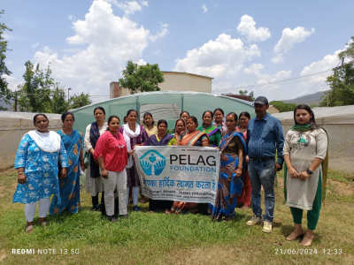 Photo 45 from Pelag Foundation
