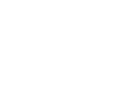 Boston Impact Initiative