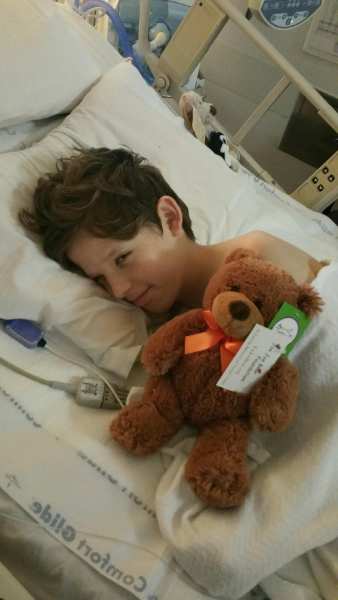 Photo 1 from Joe Joe Bear Foundation