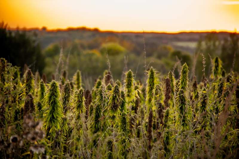 Photo 1 from Marbleseed, Inc.