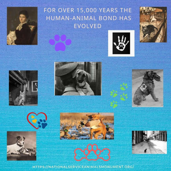 Photo 1 from National Service Animals Monument Corporation
