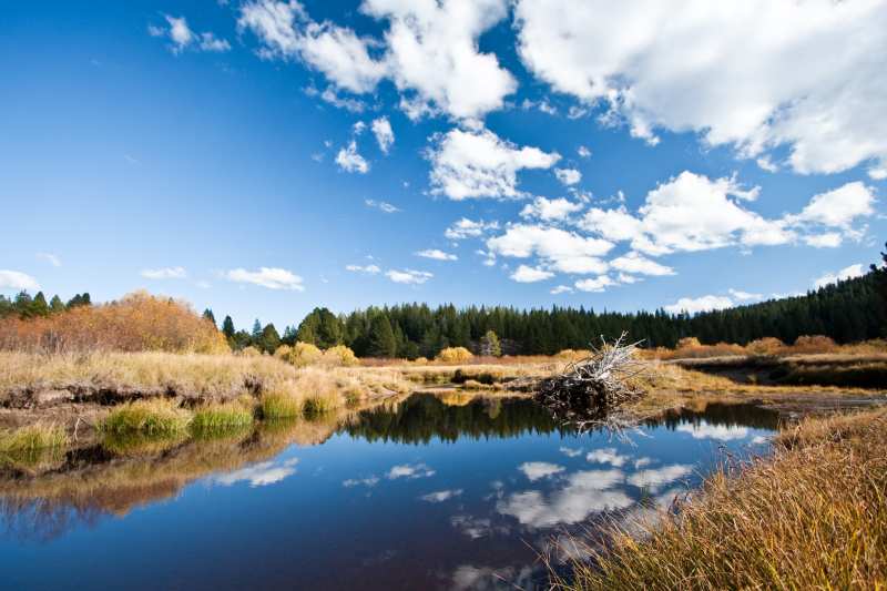 Photo 1 from TRUCKEE RIVER WATERSHED COUNCIL