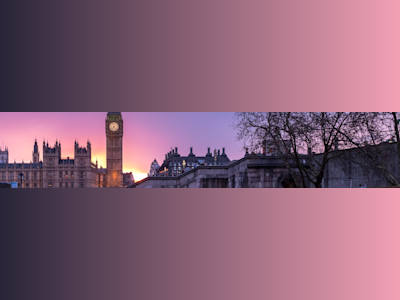 Government- Free Ad Grant Management
