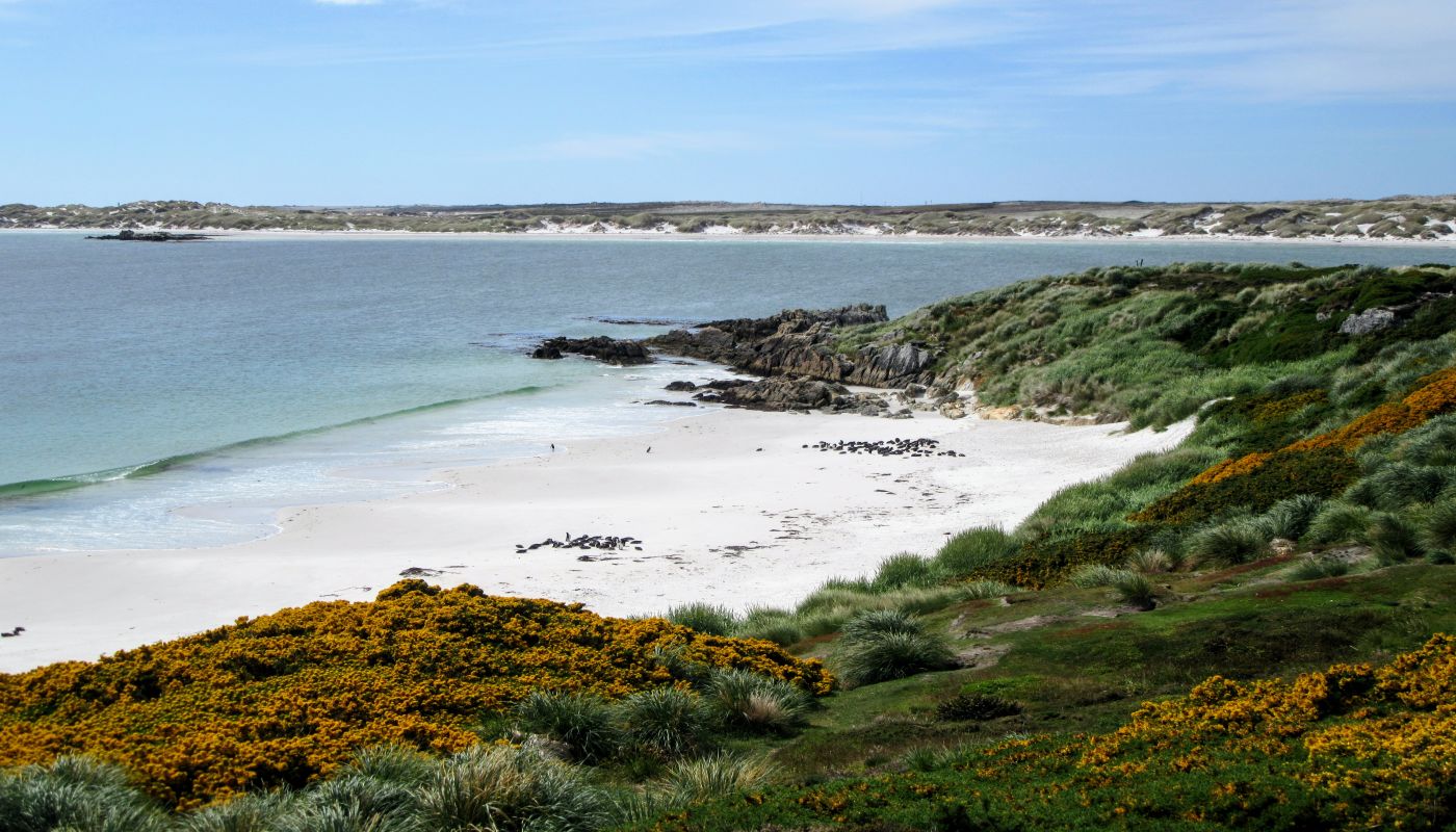 Landscape of Falkland Islands