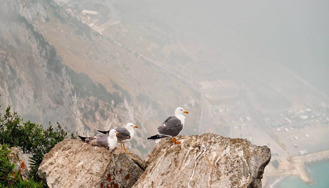 Landscape of Gibraltar