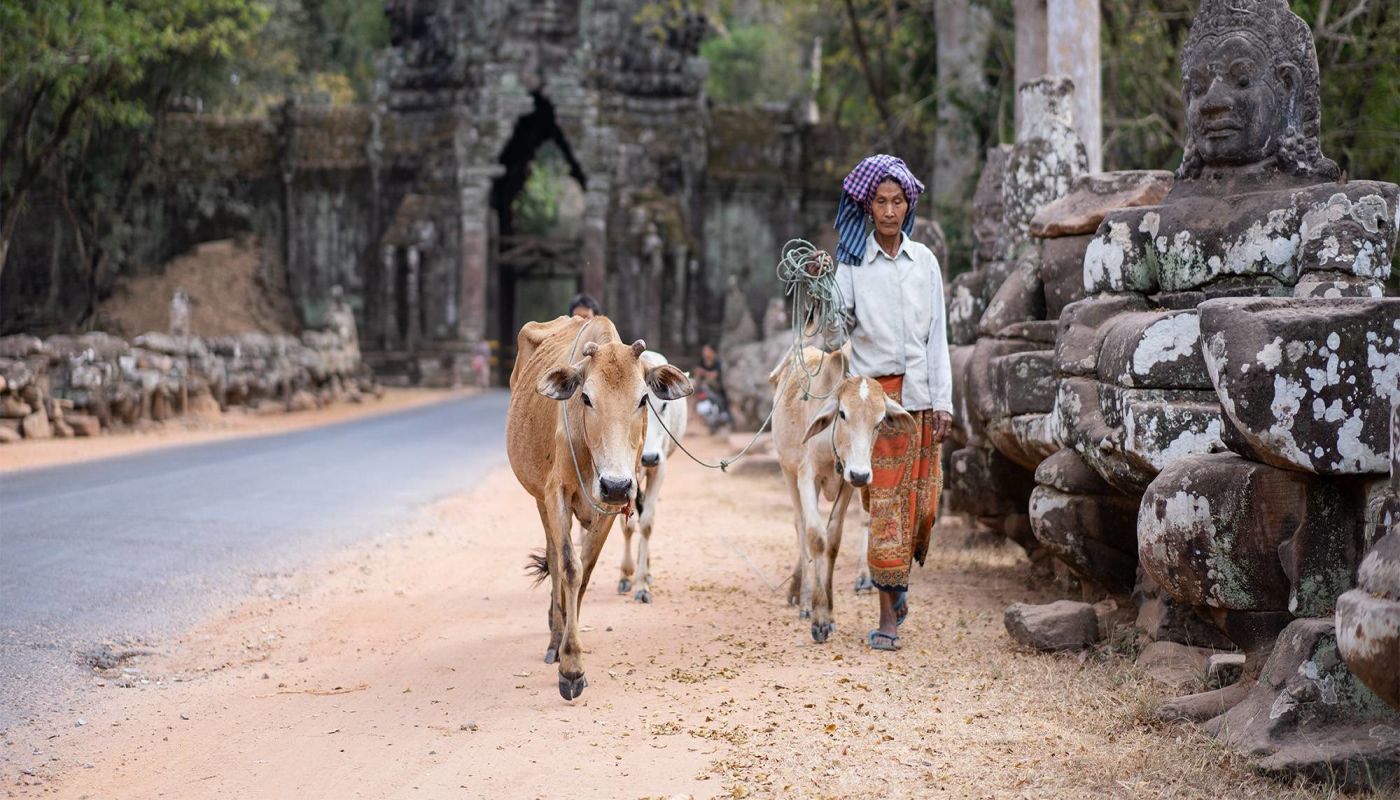 Landscape of Cambodia