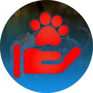 Cali Support Foundation