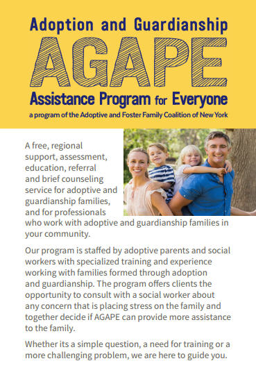 Photo 4 from Adoptive and Foster Family Coalition of New York