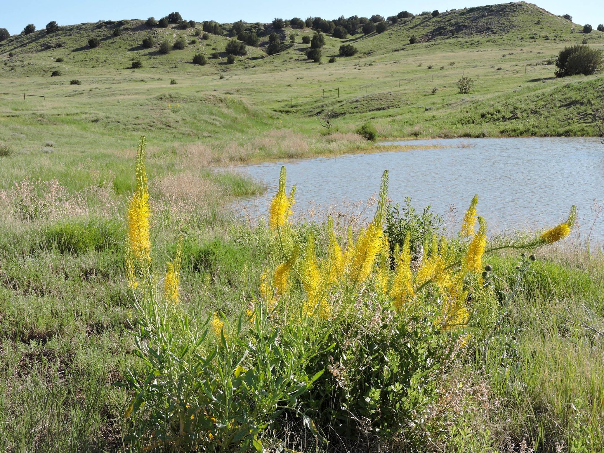 Photo 6 from SOUTHERN PLAINS LAND TRUST