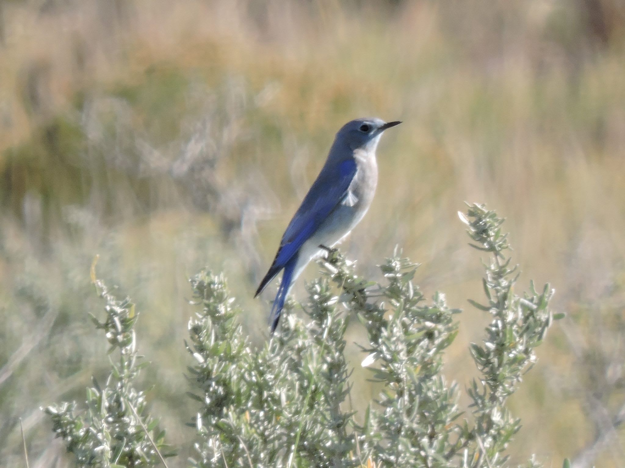 Photo 8 from SOUTHERN PLAINS LAND TRUST
