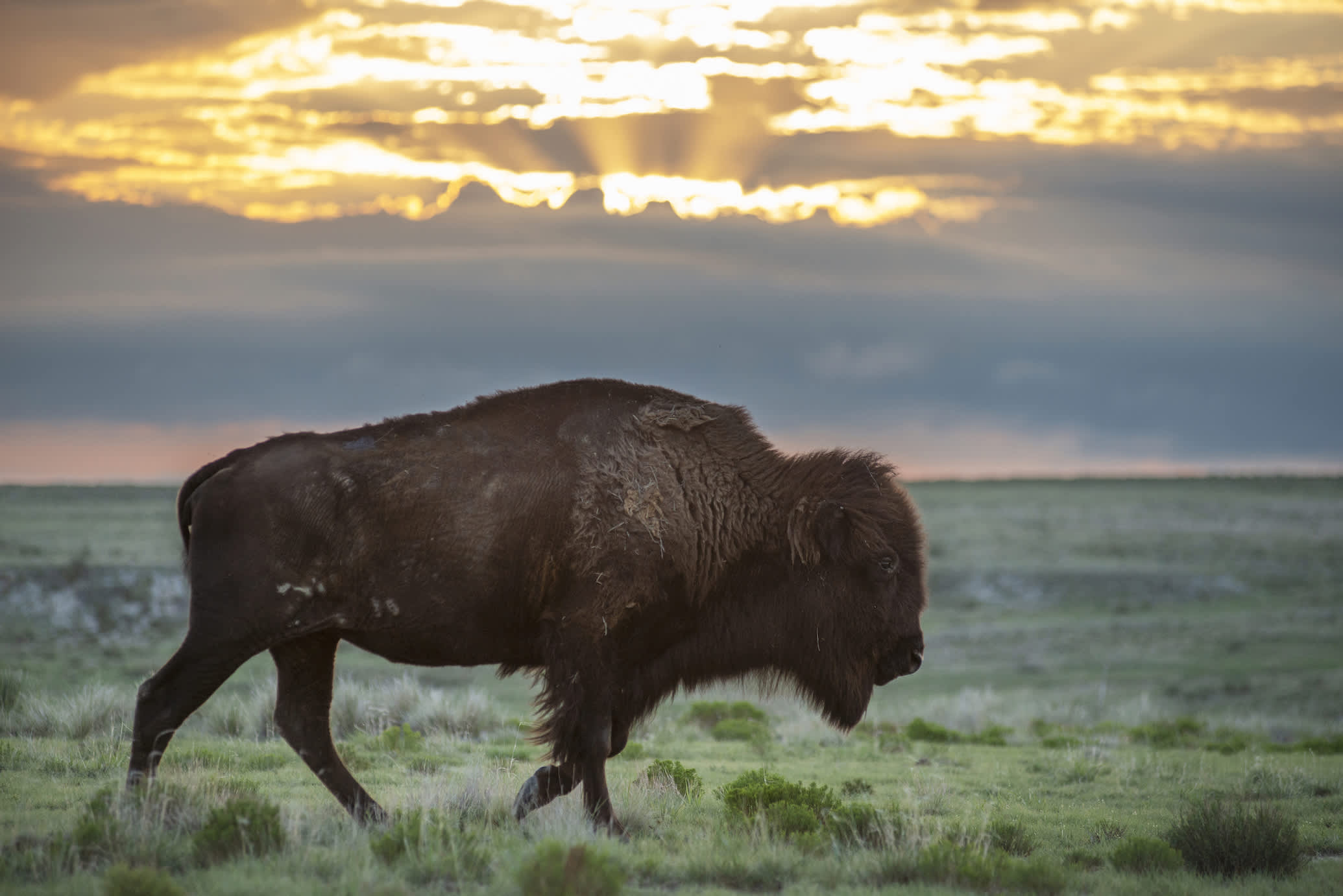 Photo 9 from SOUTHERN PLAINS LAND TRUST