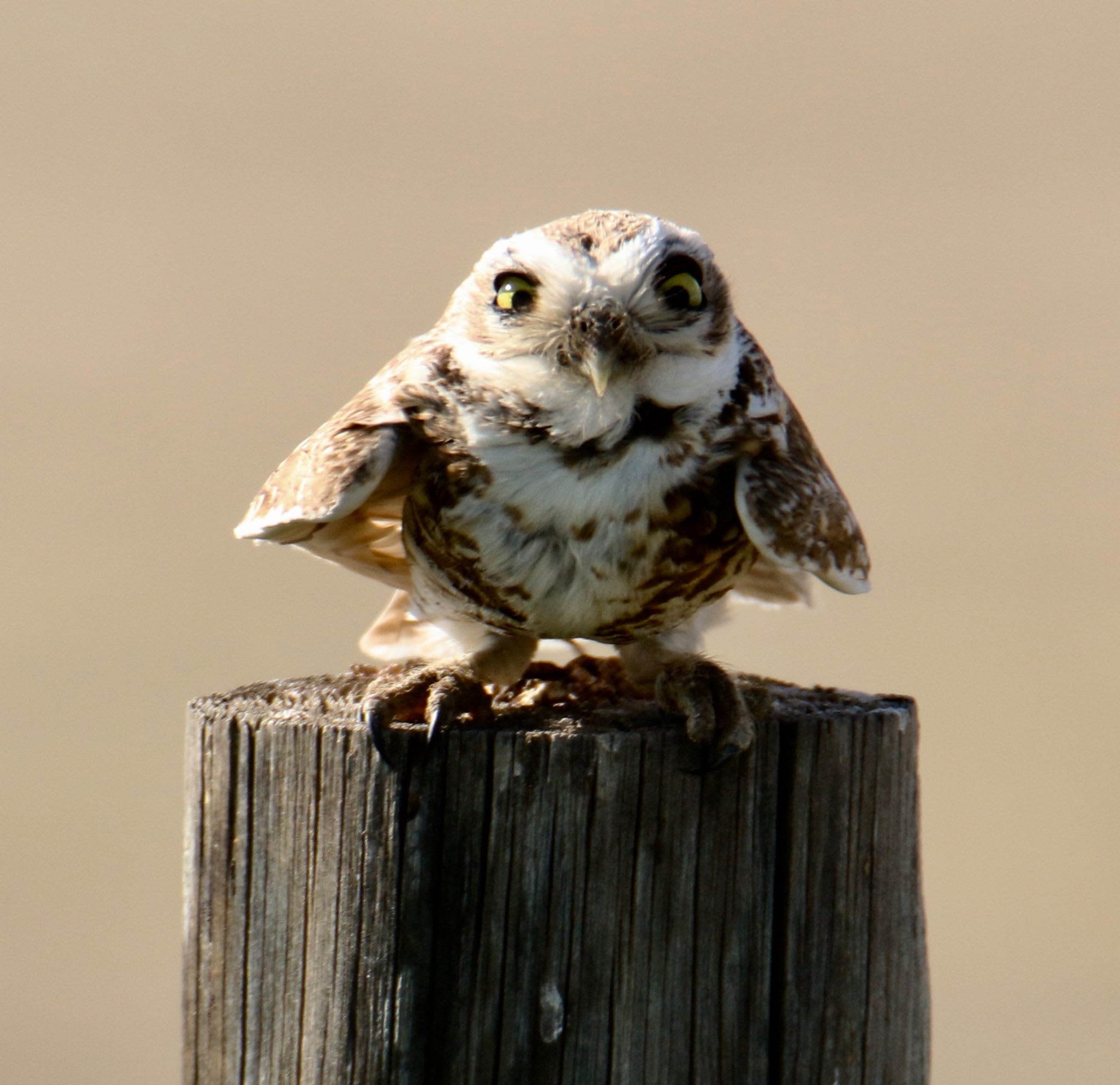 Photo 13 from SOUTHERN PLAINS LAND TRUST
